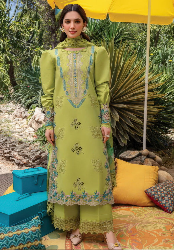 Rang Rasi on  Dhanak with Pashmina wool Shawl