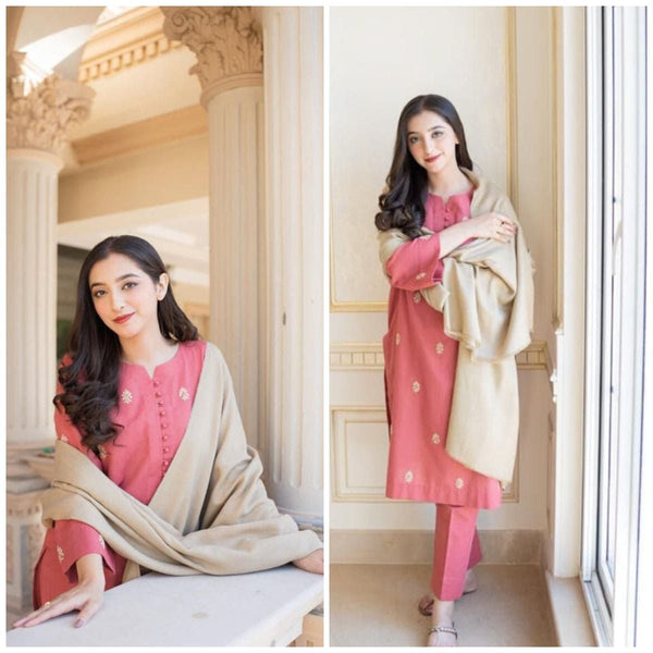 A sling  Hit on  Dhanak with Emb Shawl
