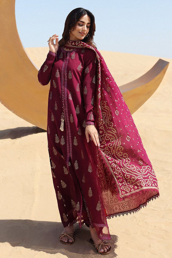 Chrimson   on  Dhanak with Printed pashmina shawl